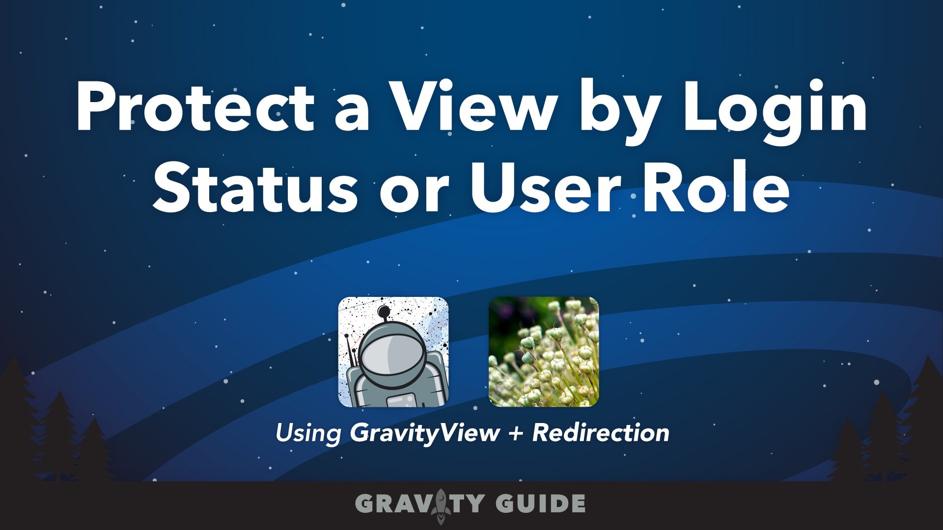 Protect a View by Login Status or User Role