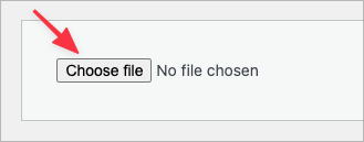 The 'Choose File' button