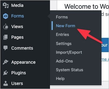 The 'New Form' link under 'Forms' in the WordPress menu