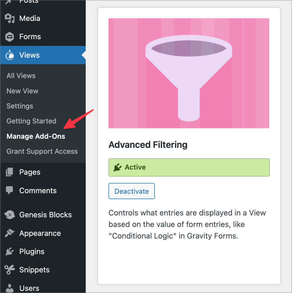 The Advanced Filtering extensions on the "Manage Add-Ons" screen in GravityView